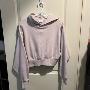 Aritzia hoodie